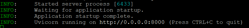 FastAPI Startup Output